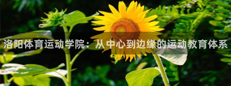 米兰体育官网下载招商电话号码是多少啊：洛阳体育运动学
