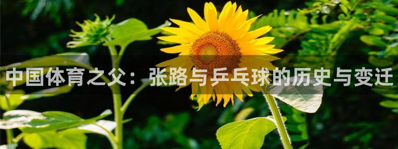 米兰体育官方正版app集团logo：中国体育之父：张路与乒乓