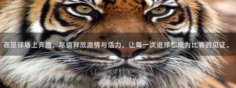 米兰体育官网下载平台：在足球场上奔跑，尽情释放激情与