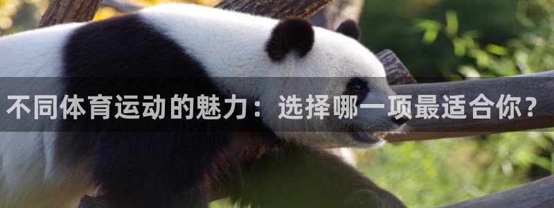 米兰体育官网下载官方客服电话：不同体育运动的魅力：选