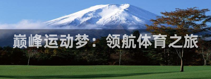 米兰体育官网下载招商电话地址查询：巅峰运动梦：领航体
