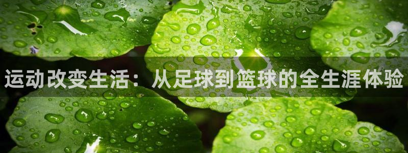 米兰体育官网下载：运动改变生活：从足球到篮球的全生涯