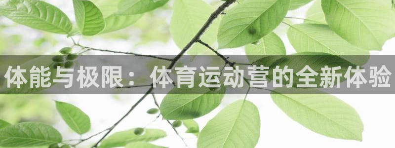 德国米兰体育官方正版app集团：体能与极限：体育运动