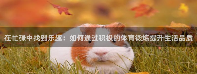 米兰体育官网下载娱乐：在忙碌中找到乐趣：如何通过积极