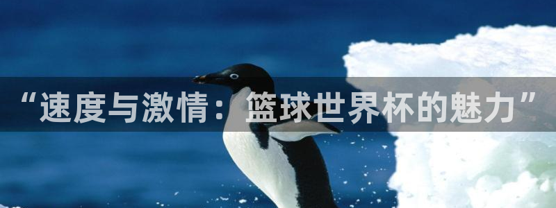 米兰体育官方正版app代理：“速度与激情：篮球世界杯的魅力”