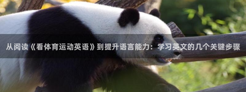 米兰体育官网下载平台注册流程图：从阅读《看体育运动英