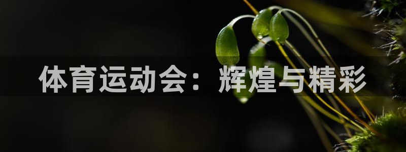 米兰体育官网下载官方客服电话：体育运动会：辉煌与精彩