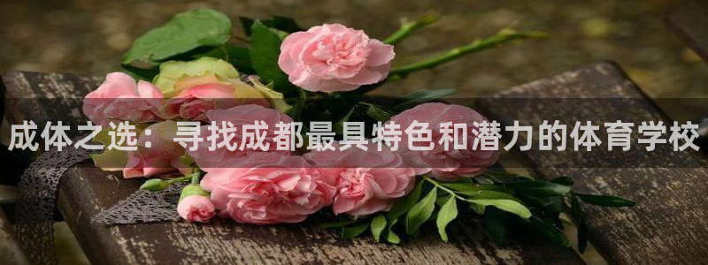 米兰体育官网下载招商电话地址查询：成体之选：寻找成都最具特色