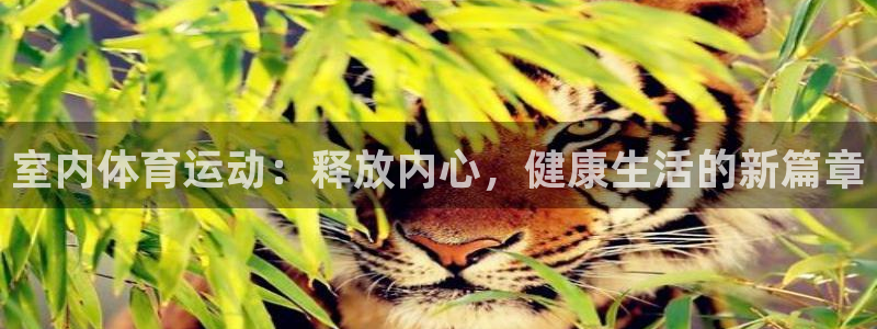 米兰体育官网下载平台：室内体育运动：释放内心，健康生