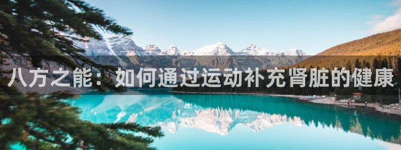 米兰体育官方集团官网：八方之能：如何通过运动补充肾脏