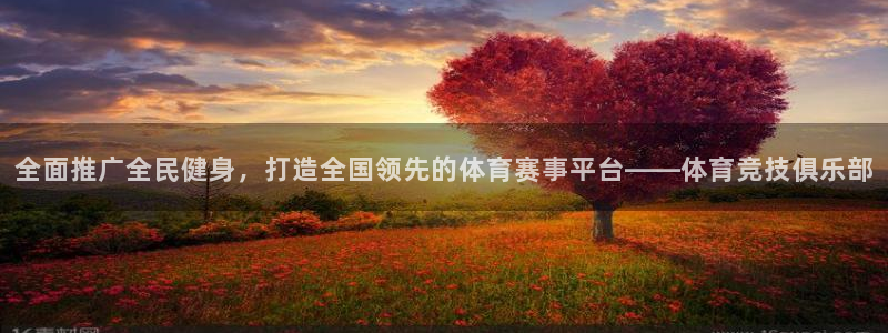 米兰体育官网下载平台注册流程视频：全面推广全民健身，