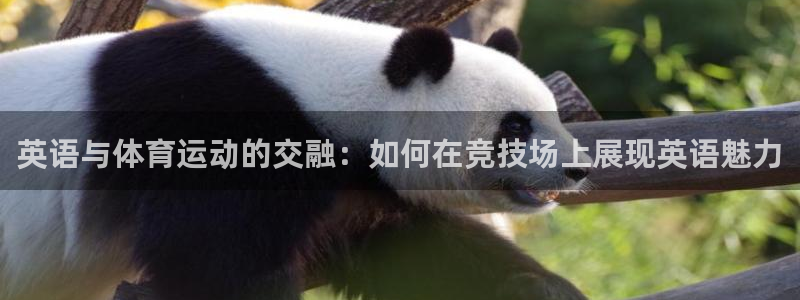 米兰体育官方正版app娱乐首页网站大全：英语与体育运动的交融