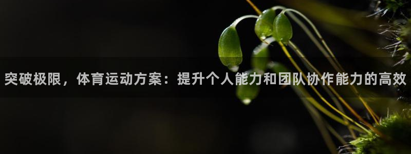 米兰体育官网下载招商电话是多少号码：突破极限，体育运