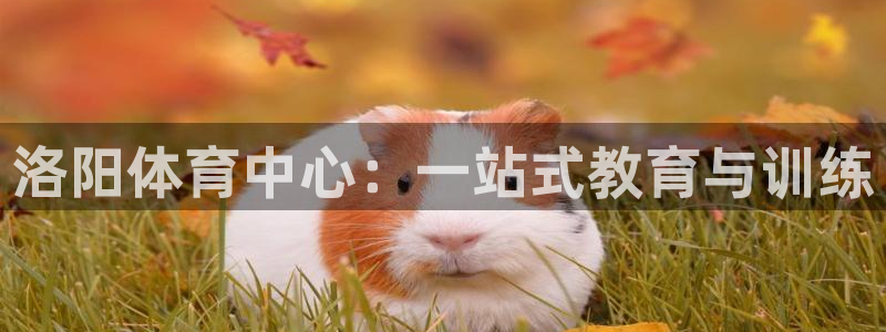 米兰体育官方正版app集团：洛阳体育中心：一站式教育