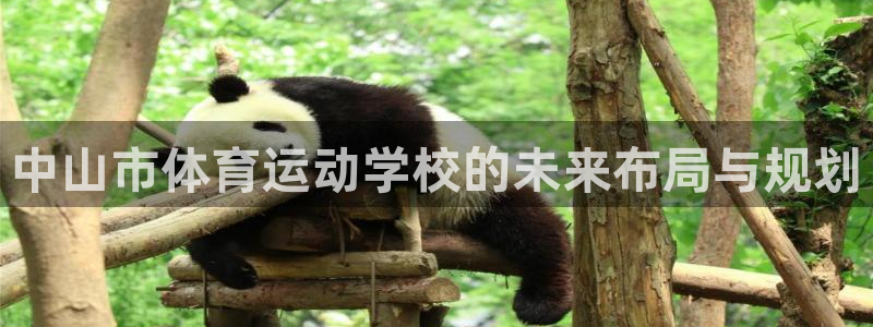 米兰体育官方正版app娱乐