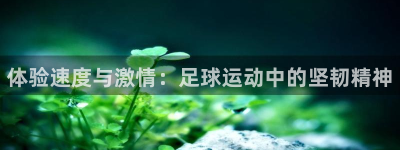 米兰体育网页版：体验速度与激情：足球