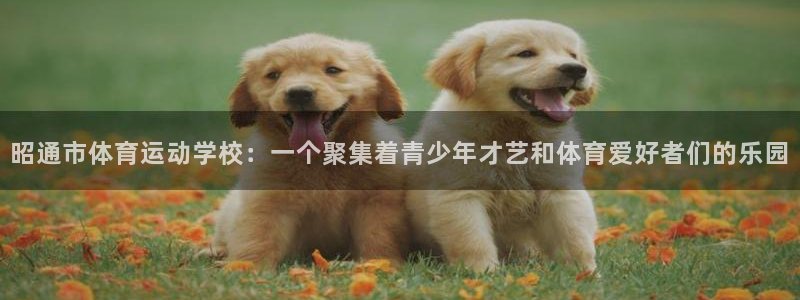米兰体育客服电话人工服务号码：昭通市