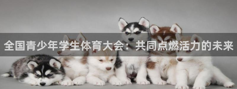 ac米兰体育发展有限公司：全国青少年