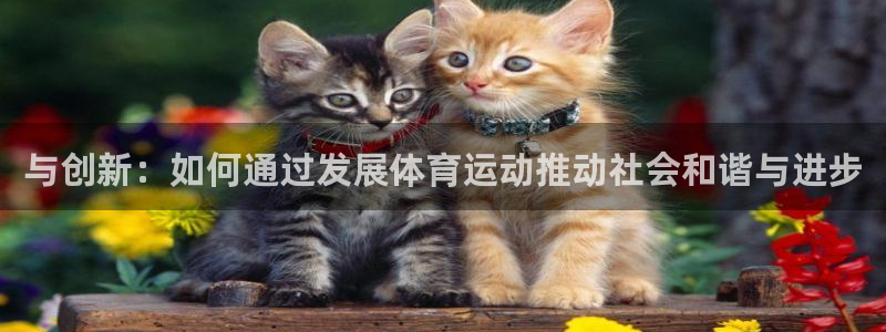 米兰体育买赛票可靠吗安全吗现在：与创