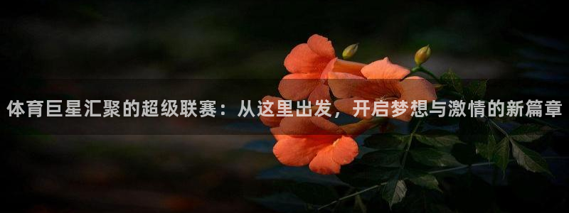 米兰体育官方正版app集团官网首页网址：体育巨星汇聚的超级联