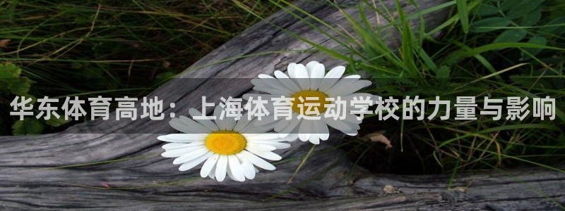 米兰体育官方正版app神州