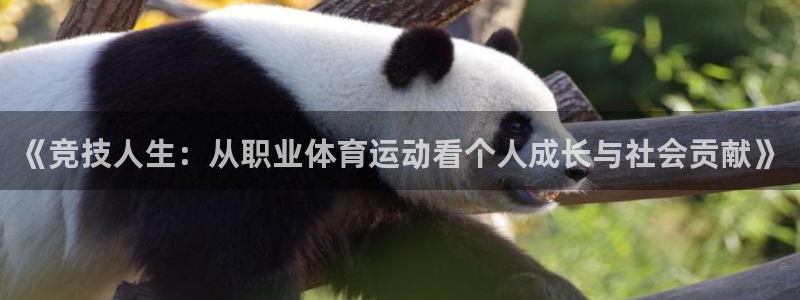 米兰体育官网下载开户：《竞技人生：从职业体育运动看个人成长与