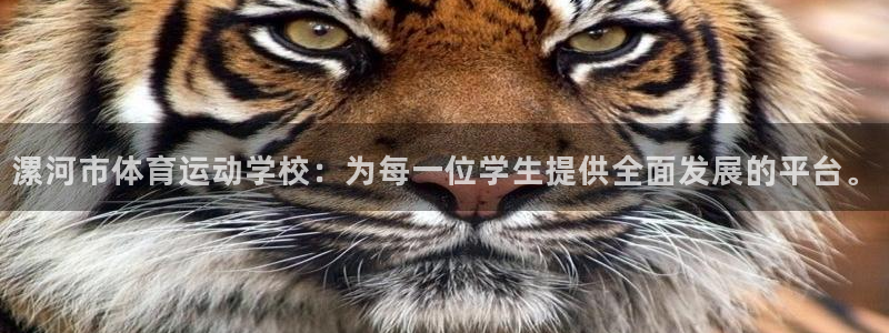 米兰体育官方正版app开户：漯河市体育运动学校：为每一位学生