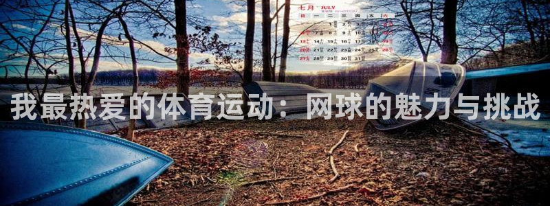 德国米兰体育官方正版app集团:我最热爱的体育运动:网球的魅