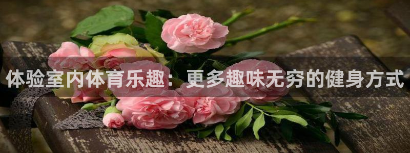 米兰体育官网下载招商电话是多少号码:体验室内体育乐趣:更多趣
