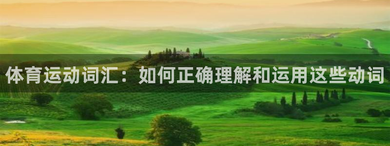 米兰体育官网下载娱乐:体育运动词汇:如何正确理解和运用这些动
